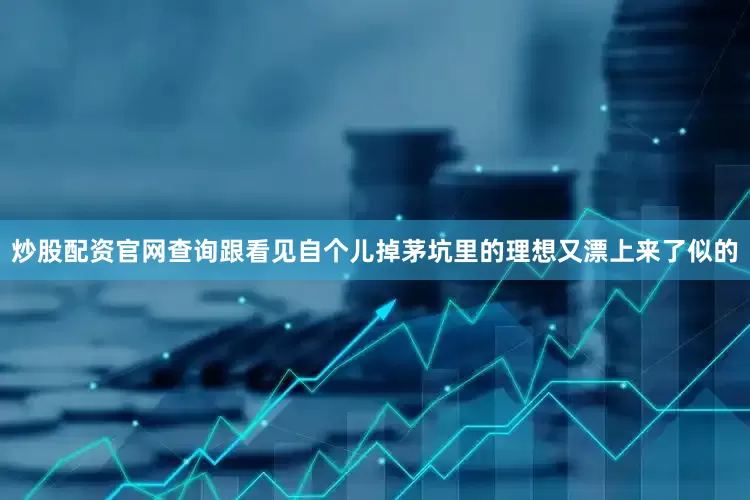 炒股配资官网查询跟看见自个儿掉茅坑里的理想又漂上来了似的