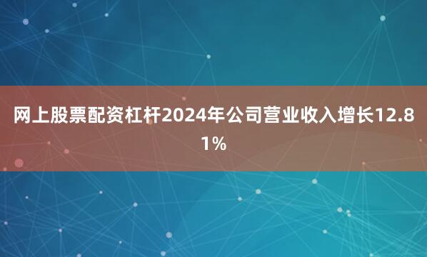 网上股票配资杠杆2024年公司营业收入增长12.81%