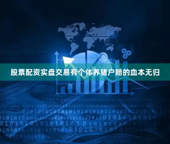 股票配资实盘交易有个体养猪户赔的血本无归