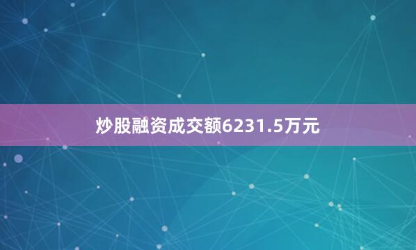 炒股融资成交额6231.5万元