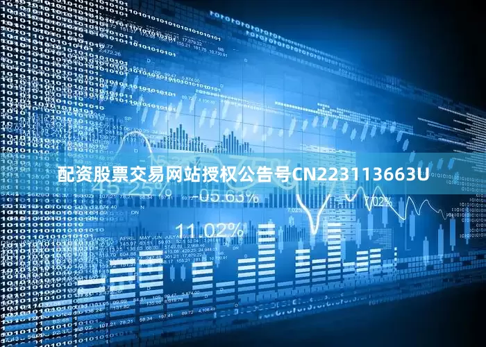 配资股票交易网站授权公告号CN223113663U