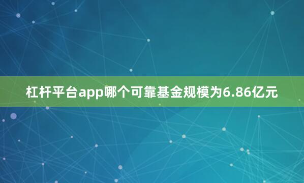 杠杆平台app哪个可靠基金规模为6.86亿元