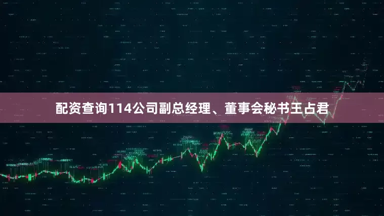配资查询114公司副总经理、董事会秘书王占君