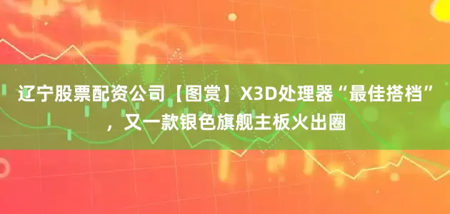 辽宁股票配资公司【图赏】X3D处理器“最佳搭档”,又一款银色旗舰主板火出圈